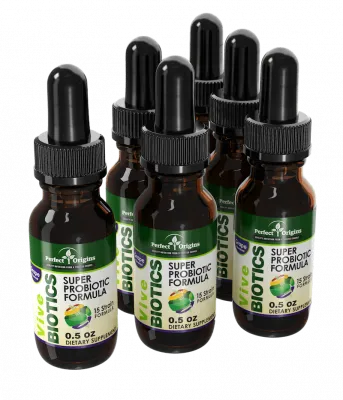 Vive Biotics Supplement Bottles